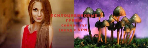 дурь Абаза