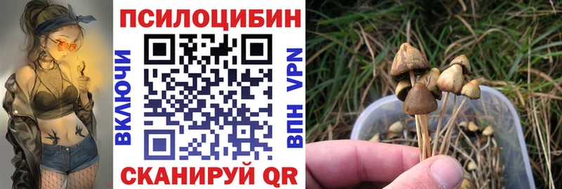Псилоцибиновые грибы Psilocybine cubensis наркотики Белый